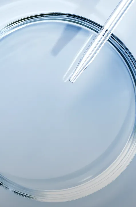 Endocare_Ciencia_desktop_713x1080