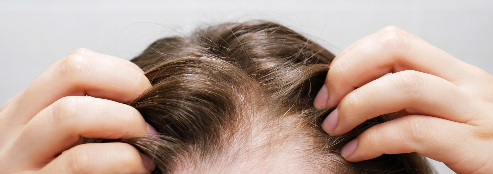 BANNER IMG_1920x680_Mesa de trabajo 1