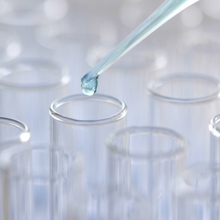 History_2009_432x432