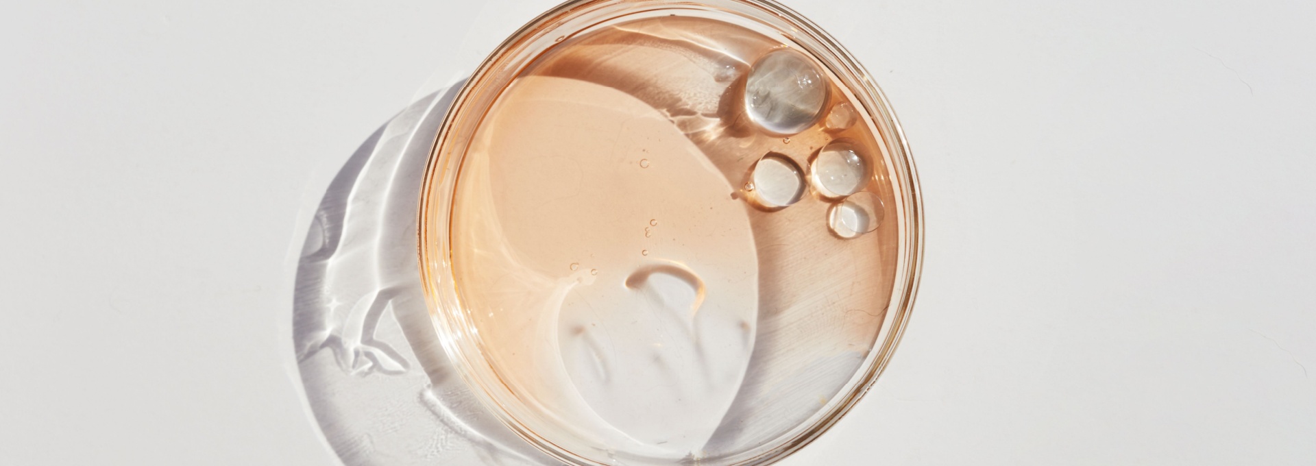 Banner_Image_VitaminaD_1920x680