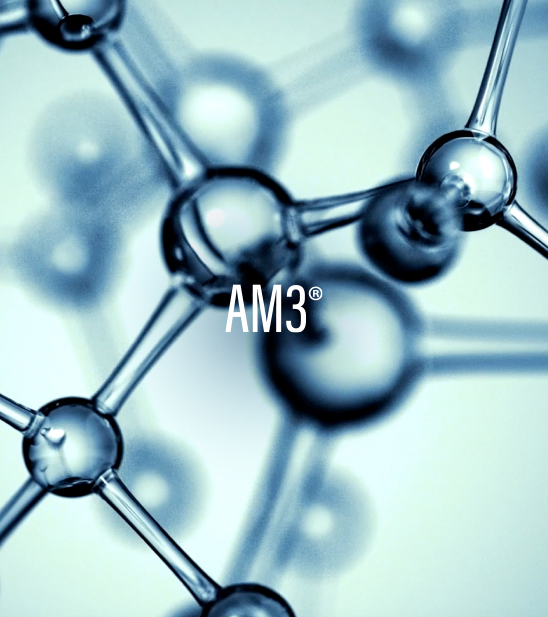 AM3_FP_Tecnologia_Desktop_548x617