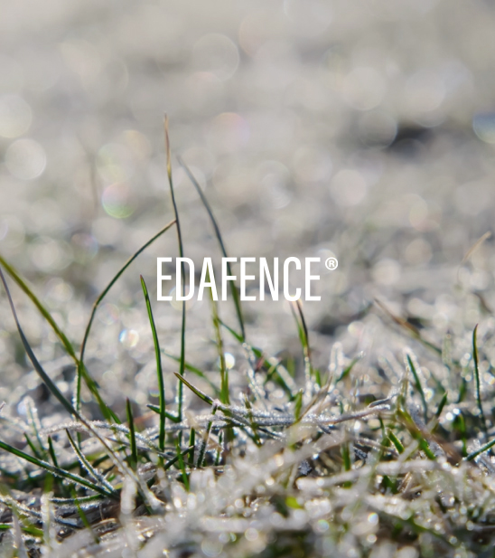 6.-EDAFENCE_FP_Tecnologia_Desktop_548x617