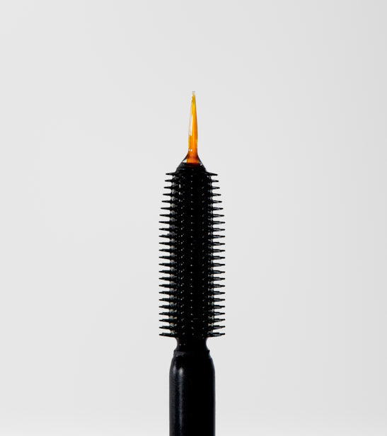 4. Cantabria Labs 2-10-24_1873_two in one lashes and eyebrows