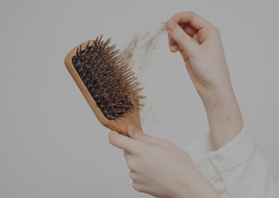 IMG+TEXT_955x680-02 copia