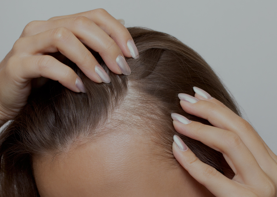 IMG+TEXT_955x680_Mesa de trabajo 1..