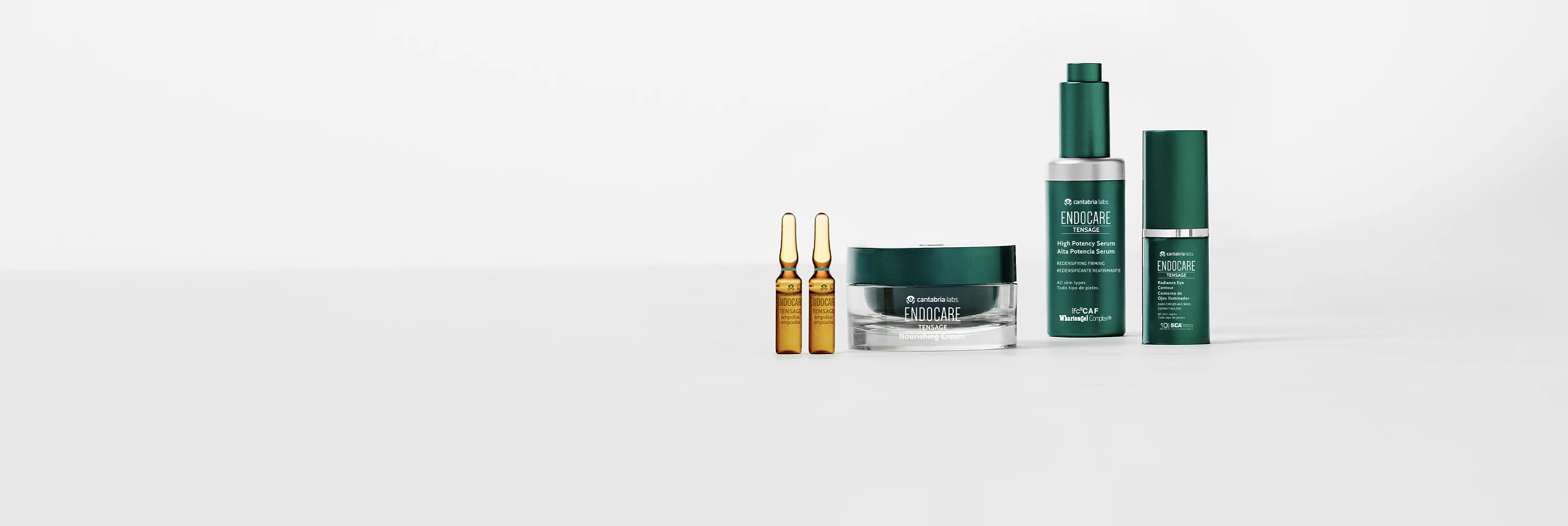 TENSAGE_LINE SLIDER_Desktop_2880x966