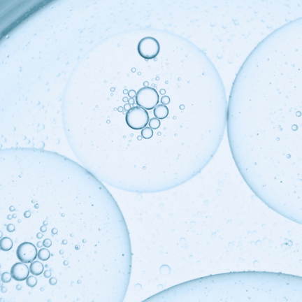 History_2006_432x432